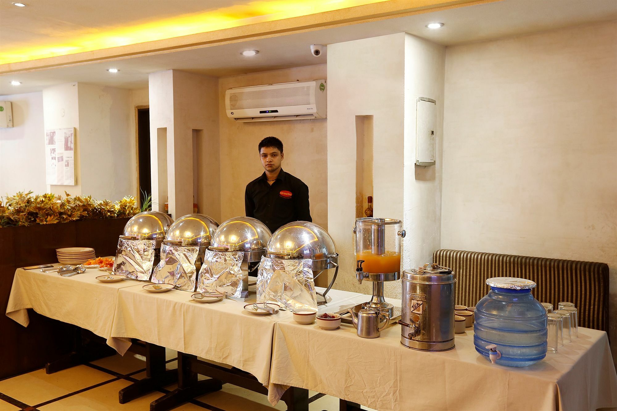 Hotel Townhouse 517 La Sapphire Near Delhi Airport Nueva Delhi Exterior foto